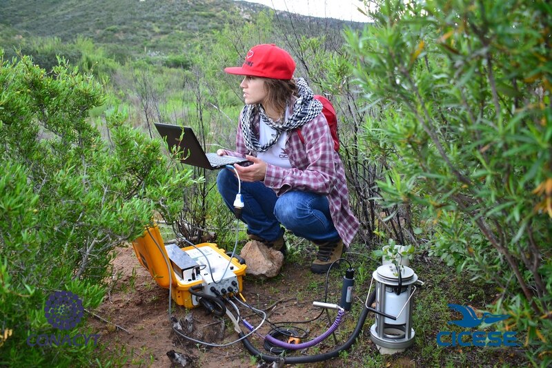 Científica trabajando en el campo