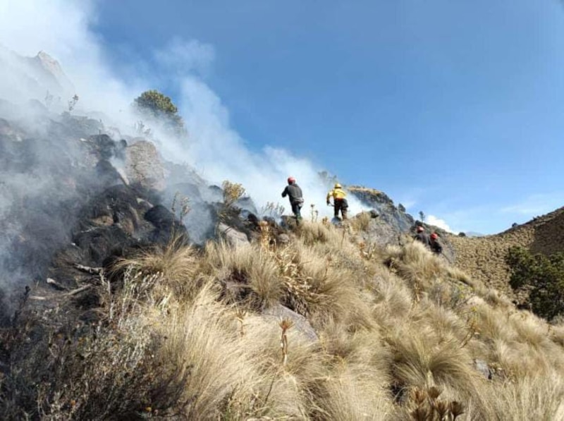 Incendio forestal en las montañas