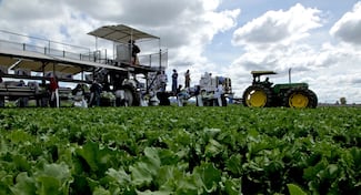 Creció 1.1% actividad económica interanual de México durante mayo: Inegi