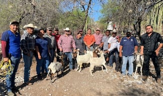 Supervisan reproducción de sementales caprinos en Jaumave, Tamaulipas