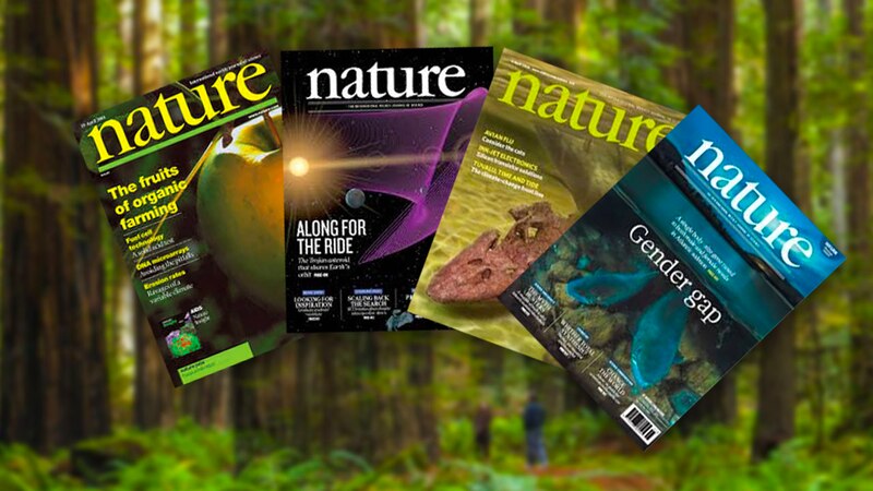 Las últimas noticias sobre ciencia y tecnología de la revista Nature