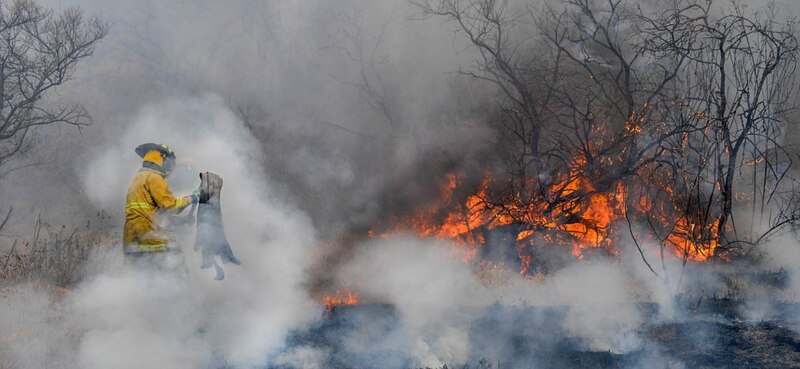 Bombero rescata a un perro de un incendio forestal