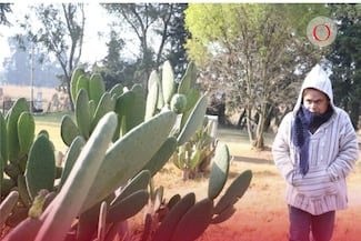 Clima CDMX y Edomex: pronóstico del tiempo para este jueves 26 de febrero