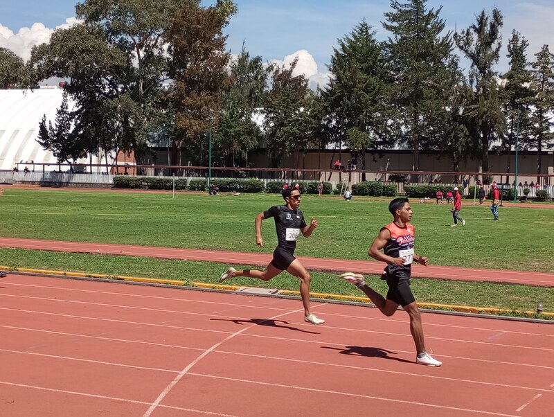 Atletas corriendo en una pista