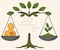 De la defensa vegetal a la salud humana: El caso de la quercetina