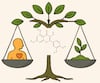 De la defensa vegetal a la salud humana: El caso de la quercetina