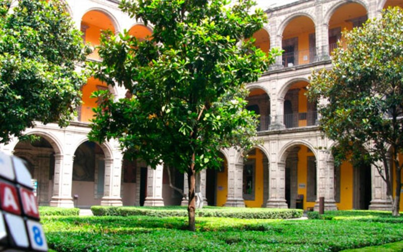 Un hermoso patio con árboles y plantas verdes
