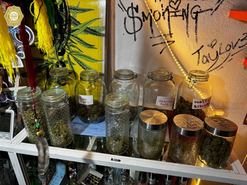 Variedades de cannabis en un dispensario