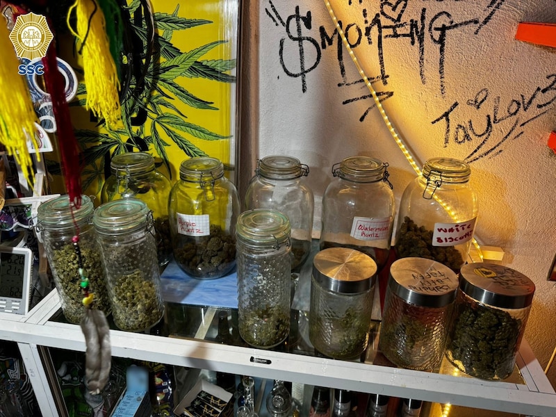Variedades de cannabis en un dispensario
