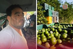 La ‘narcoinflación’ del ‘Botox’: así afectaba al precio de los limones... y a tu bolsillo 