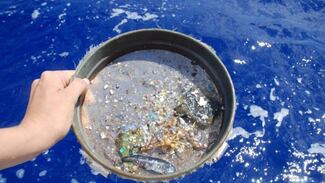 Un estudio revela el papel del zooplancton en transportar microplásticos en el océano