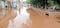 Se desborda río en tres municipios de Jalisco; afecta vialidades