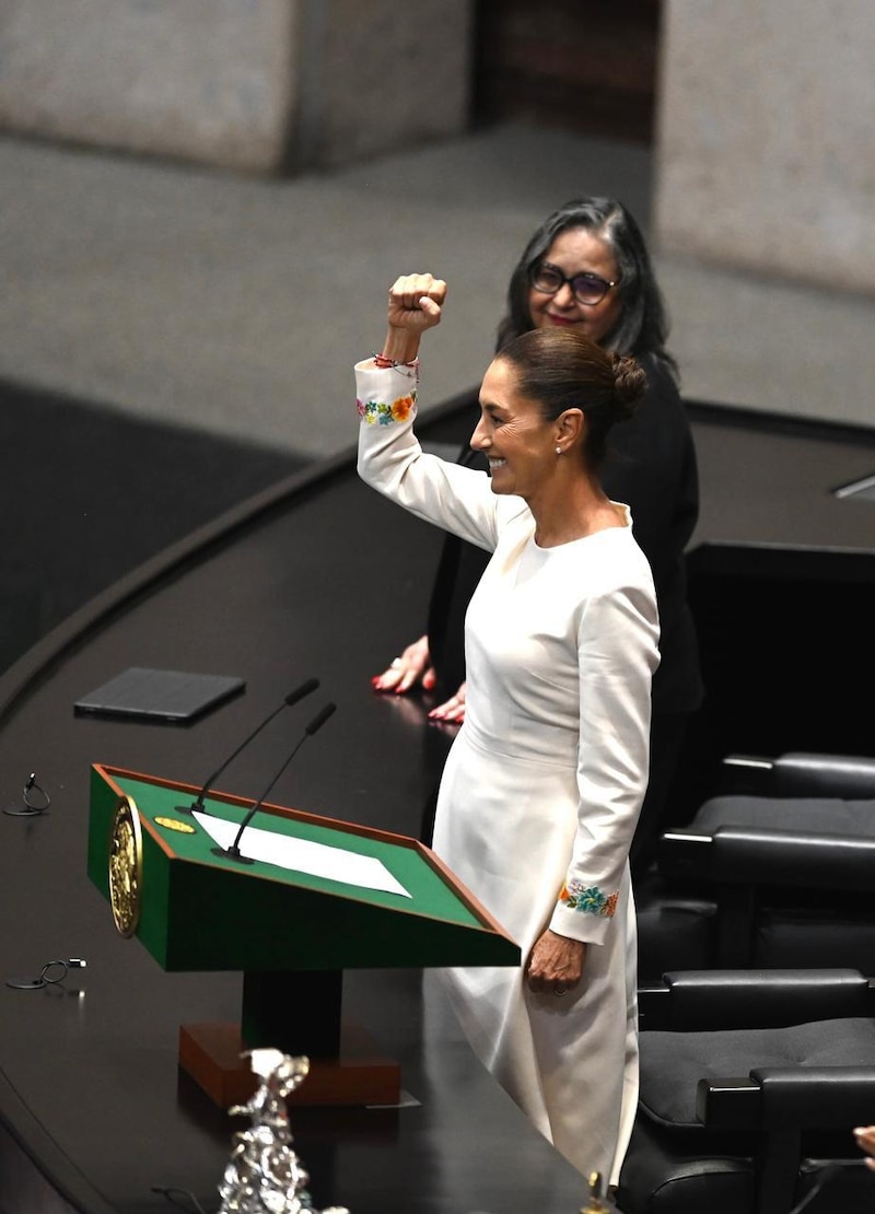 La presidenta de la Cámara de Diputados, Laura Rojas, rinde protesta.