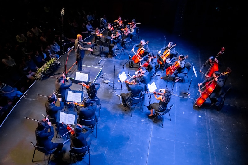 Orquesta sinfónica en vivo