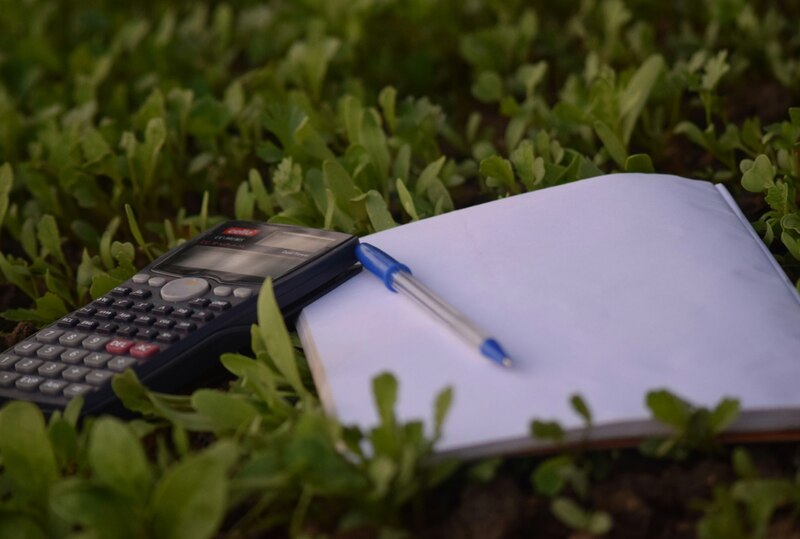 Hoja y calculadora sobre jardin