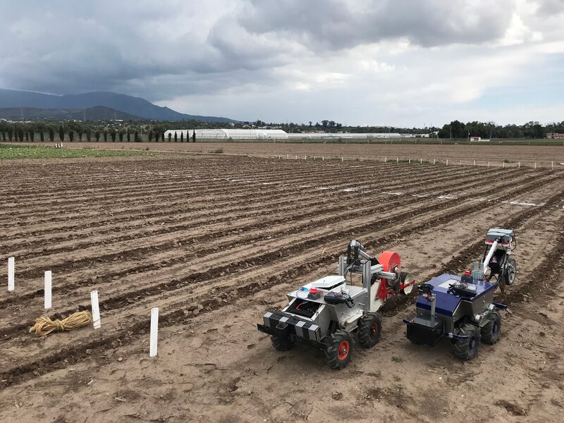 Dos robots agrícolas trabajan en un campo