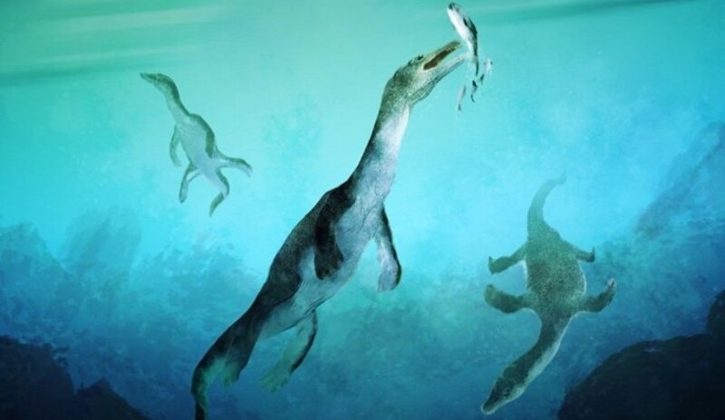 Plesiosaurios, criaturas marinas prehistóricas