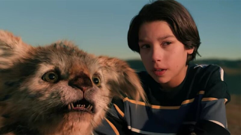 La imagen muestra a un niño y un gato.