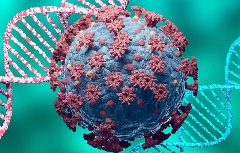 Virus