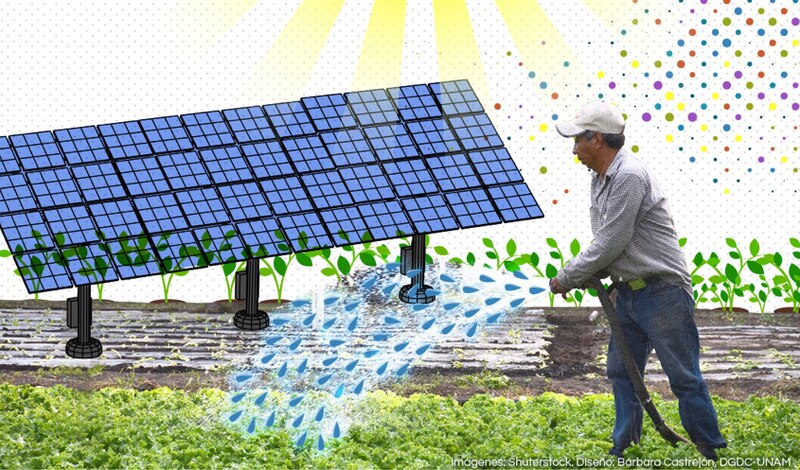 Riego de cultivos con energía solar