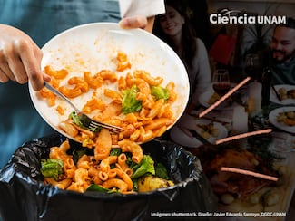 México, primer lugar en desperdicio de  alimentos por persona en América Latina 