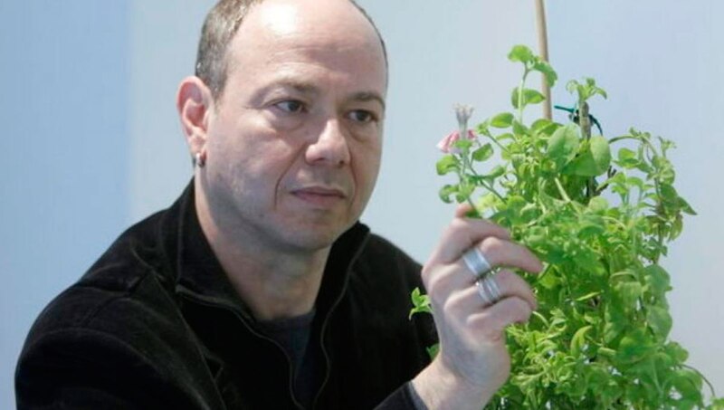 Un científico observa una planta.