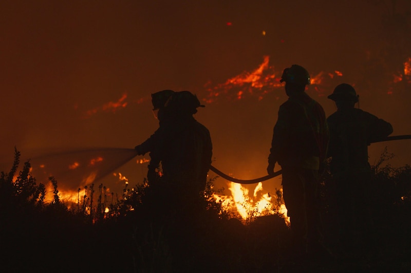 Bomberos combaten un incendio forestal