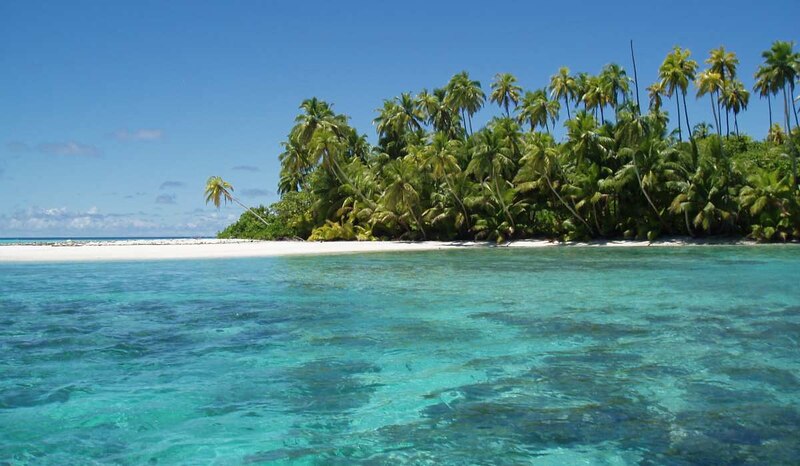 Una playa tropical con aguas cristalinas y palmeras