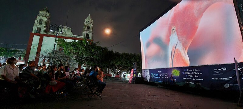 Noche de cine en la plaza pública