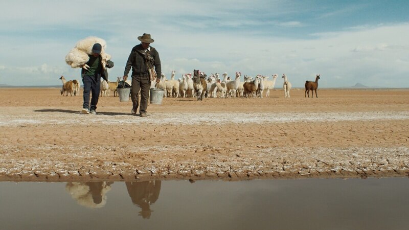 Pastores de llamas en los Andes