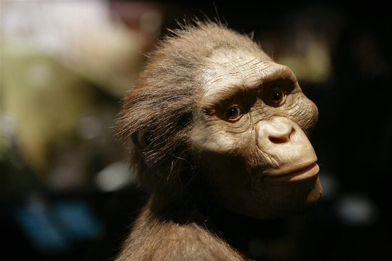 El antepasado humano más antiguo
