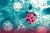 ¿Qué es la Ciclosporosis? El parásito intestinal que está poniendo en alerta a EU por sus múltiples casos