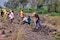Reforestan sendero cultural en La Vega como parte del proyecto Vías Verdes