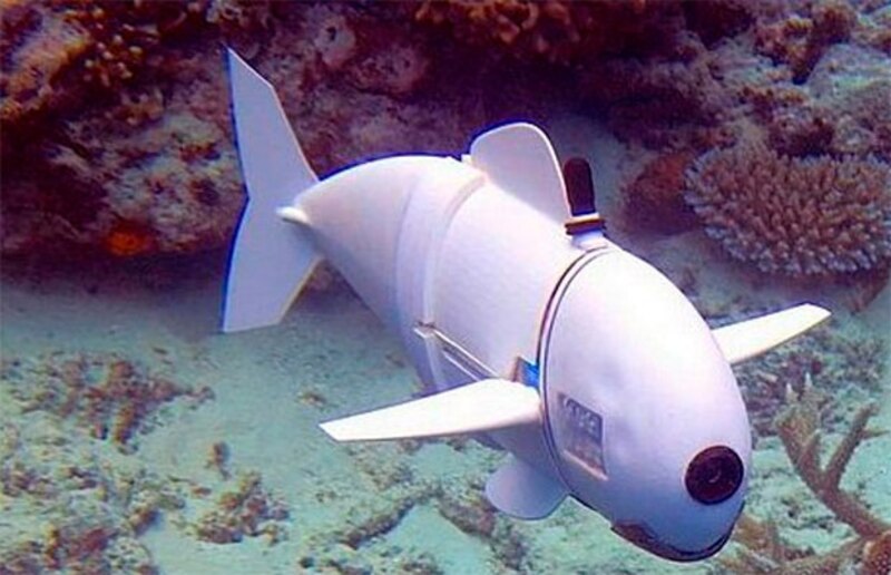 Pez robot explora los arrecifes de coral