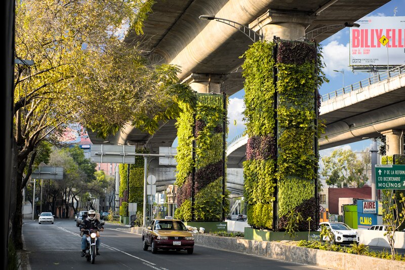 Jardines verticales en la Ciudad de México