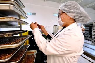 Alerta Coparmex Jalisco por caída en generación de empleos y cierre de empresas