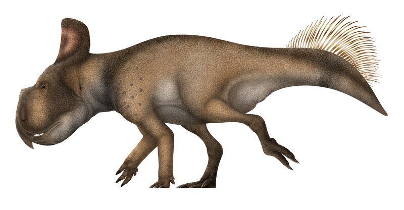 El dinosaurio más extraño del mundo