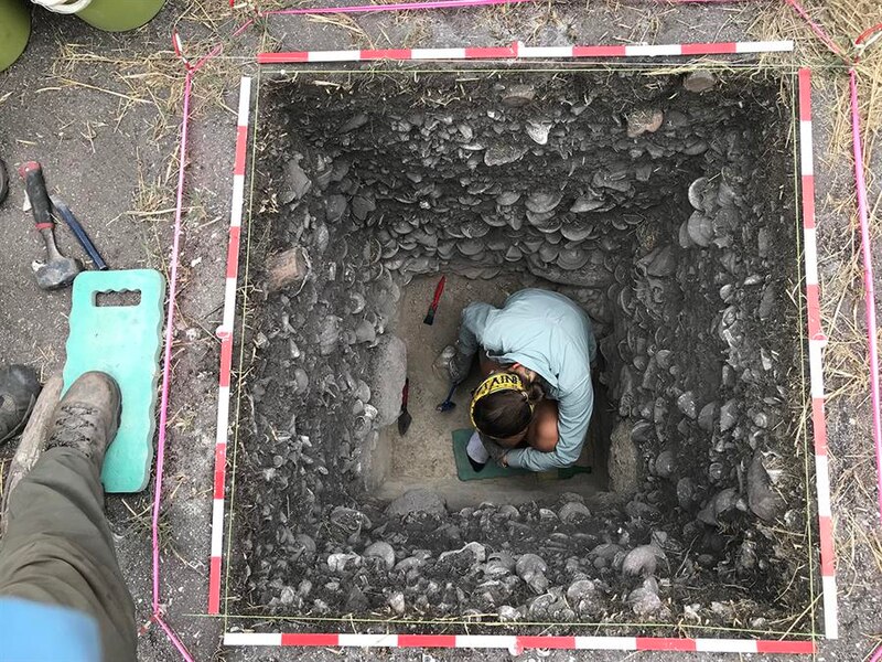 Una arqueóloga trabaja en una excavación