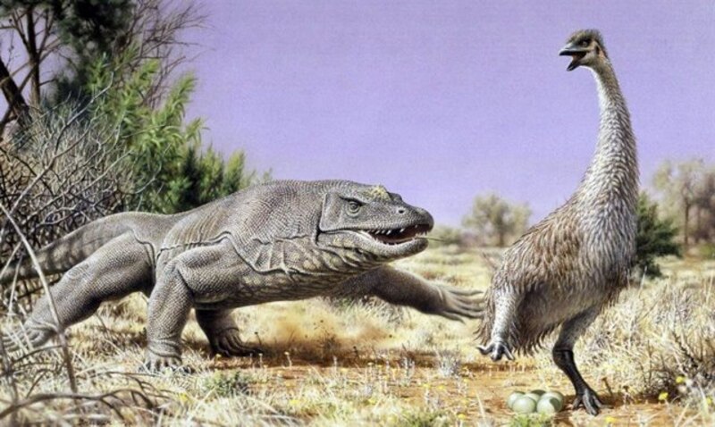 Un reptil gigante se enfrenta a un ave prehistórica