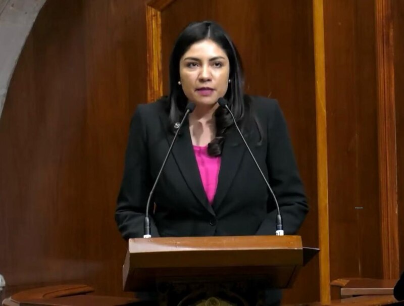 La diputada federal mexicana Ana Lilia Herrera Anzaldo.
