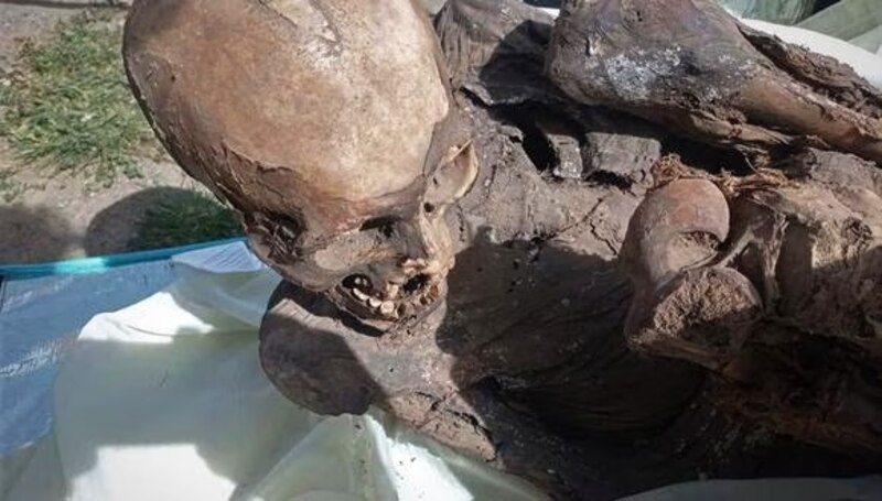 Restos óseos de un humano prehistórico