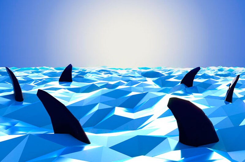 Tiburones en el agua