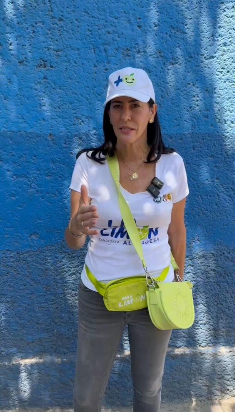 La candidata a la alcaldía de Marbella, Ángeles Muñoz, en un mitin.