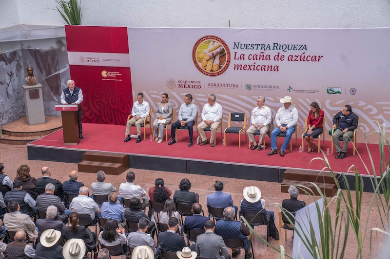 La caña de azúcar mexicana, nuestra riqueza