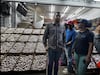 Escasez de mano de obra llevó a la Central de Abasto a emplear a más de 4 mil migrantes