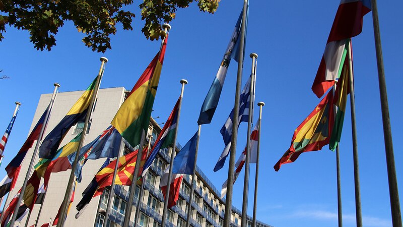 Banderas del mundo