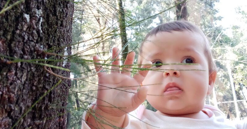 Bebé tocando una planta