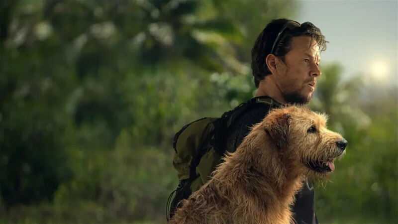 Un hombre y su perro en la naturaleza