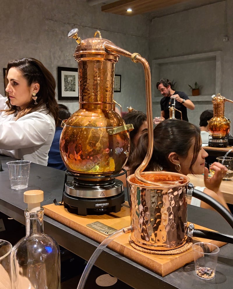 Experiencia sensorial de destilados de ginebra en Purificación