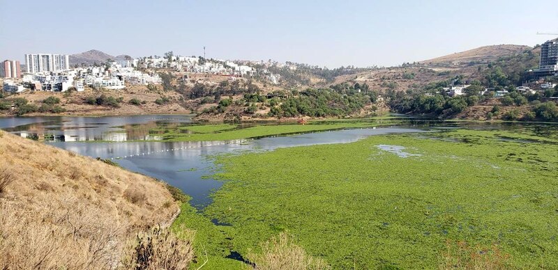 Laguna de La Taray